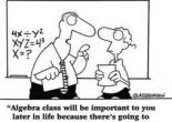 Algebra is good for life