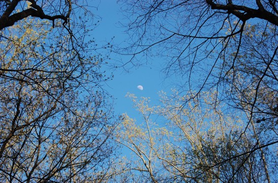 fire your lover tonight